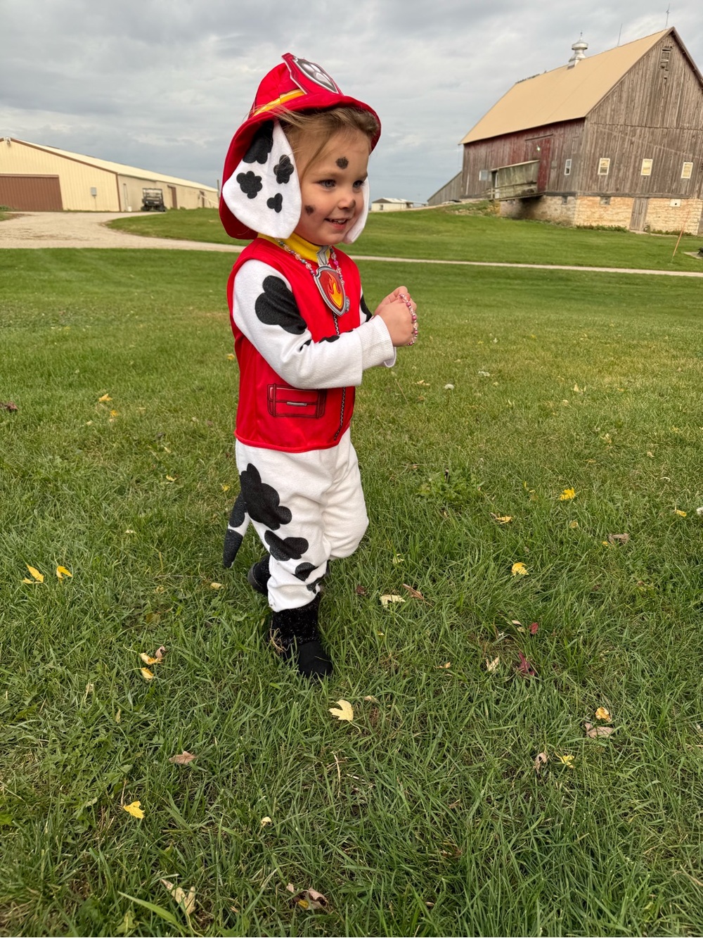 Marshall Paw Patrol - Toddler Red and White Dalmatian Fire Pup Costume